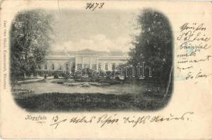 1899 Hegyfalu, Gróf Széchenyi Gábor kastélya (szakadás középen / tear in the middle)