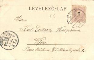 1899 Sopron, Oedenburg; Irgalmas nővérek leánytanodája, Gőz és kádfürdő. Kiadja L. Kummert No. 107