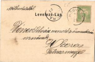 1903 Hőgyész, látkép északkeletről, Római katolikus templom, Fő utca. Kiadja Fleischmann Jónás, foto...