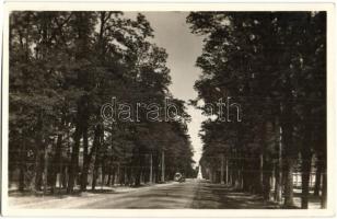 Debrecen, Református kollégium, Nagyerdei fasor - 2 db régi képeslap