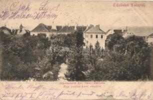1904 Vác, Siketnémák kir. orsz. intézete, régi intézet kerti részlete
