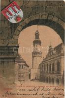 1901 Sopron, Oedenburg; Városháza és várostorony. Címeres litho keret (EB)