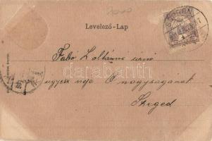 1901 Sopron, Oedenburg; Városháza és várostorony. Címeres litho keret (EB)