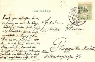 1906 Verőce, Nógrádverőce; villa. Kiadja Wawrik Géza