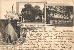 1905 Algyógyfürdő, Geoagiu; Hunyadi sor, szálloda, vízesés / villa, hotel, waterfall. Art Nouveau, floral (Rb)