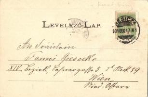 1901 Resicabánya, Resita; látkép. Kiadja Ifj. Neff Károly / general view (EK)