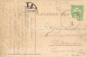 Vízakna, Salzburg, Ocna Sibiului; részlet a fürdő parkból. 1003. Kiadja Budovszky L. / spa park (ázo...