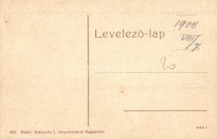 Vízakna, Salzburg, Ocna Sibiului; A nagy zöld sós gyógytó a gloriettről tekintve. 1002. Kiadja Budov...