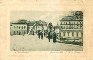Nagybecskerek, Velky Beckerek, Zrenjanin; Ferenc József híd. W.L. Bp. 994. / bridge