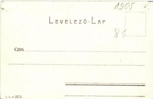 1905 Borszék, Borsec; Patka Vencel méhészete, méhkaptárok / beekeeper's farm, apiary, beehives ...