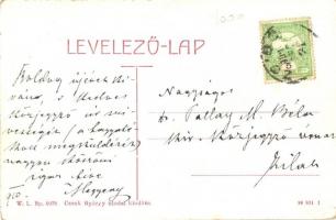 Zsibó, Jibou; Kir. Járásbíróság. W. L. Bp. 6078. Czenk György utódai kiadása / district court (EK)