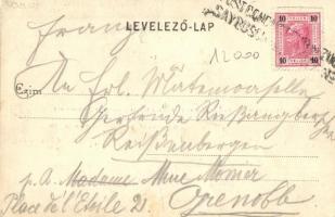 1902 Apahegy, Viile Apei; Seidl József cs. és kir. udvari szállító szőlőtelepe Apahegyen, Seidl Józs...