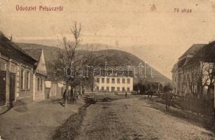 1907 Pelsőc, Pelsücz, Plesivec (Gömör megye); Fő utca, cipő üzlet, református iskola, Gömöri faipari rt. No. 1118. Kiadja Pártos Mór / main street, shop, Calvinist school, wood company (EK)