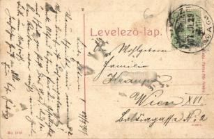 1907 Pelsőc, Pelsücz, Plesivec (Gömör megye); Fő utca, cipő üzlet, református iskola, Gömöri faipari...