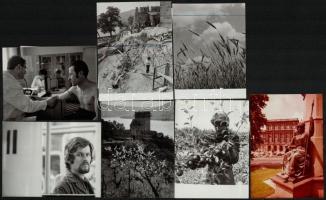 1964-1978 Vegyes témájú sajtófotók, Budapest, orvosi vizsgálat a csepeli gyárban, állami gazdaság gyümölcsöse, stb., 7 db fotó, 12×9 cm