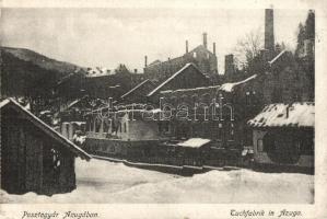 Azuga, szétlőtt posztógyár télen / Tuchfabrik / destroyed cloth factory in winter