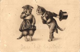 Cat couple. A.G.B. No. 2905. litho (pinholes)