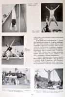 Pluhár István: A berlini olimpia. Az 1936. évi berlini olimpia története - 400 képpel. - Dr. Kelemen...