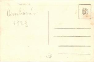 1929 Dombóvár, halászok a Halastónál, kifogott halak összegyűjtése. photo