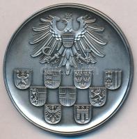 Ausztria DN Ausztria Nemzeti Tanácsa és Szövetségi Tanácsa ezüstözött Br emlékérem dísztokban (60mm) T:1- Austria ND National Council and Federal Council of Austria silver plated Br commemorative medallion in case (60mm) C:AU