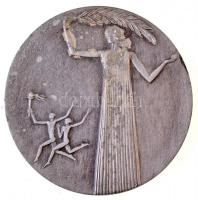 Szovjetunió 1980. "Moszkvai Olimpia" fém emlékérem műanyag tokhoz rögzítve (58mm) T:1-,2
...