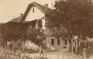 1916-1917 Révfülöp, Ódor Villa, nyaraló és szőlőskert - 4 db régi fotó képeslap, köztük kézzel színe...