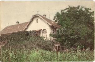1916-1917 Révfülöp, Ódor Villa, nyaraló és szőlőskert - 4 db régi fotó képeslap, köztük kézzel színe...