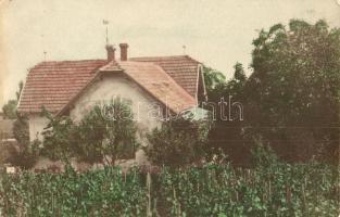 1916-1917 Révfülöp, Ódor Villa, nyaraló és szőlőskert - 4 db régi fotó képeslap, köztük kézzel színe...