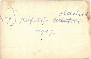 1916-1917 Révfülöp, Ódor Villa, nyaraló és szőlőskert - 4 db régi fotó képeslap, köztük kézzel színe...