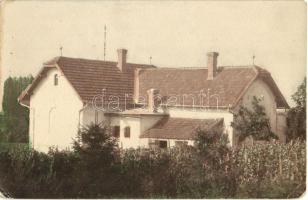 1916-1917 Révfülöp, Ódor Villa, nyaraló és szőlőskert - 4 db régi fotó képeslap, köztük kézzel színe...