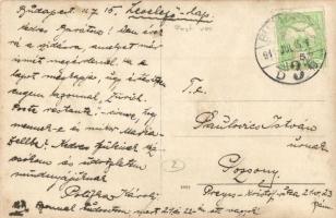 1911 Sikáros (Pilisszentlászló), üdülőhely a budai hegyek között, létra, gémeskút, a levélíró felvét...