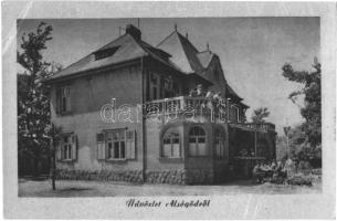 Alsógöd (Göd) - 9 db modern városképes lap: üdülő, Strandvendéglő, étterem, Városháza (Buchwald-Wydl...