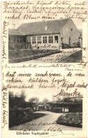 1905 Maroshévíz, Oláhtoplica, Toplicza, Toplita; Jákobi István szülőháza, kúria / Birth Villa of István Jákobi
