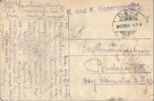 Déva, Deva; vár. Kiadja Hirsch Adolf / castle + 1917 K.u.K. Reservespital Déva (EK)