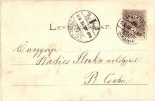 1900 Nagykároly, Carei; utcakép. Huszty Zoltán fényképész felvétele, Eigner Simon kiadása / street v...