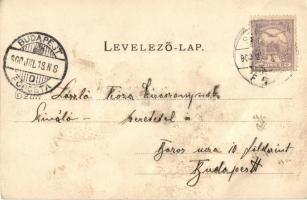 1900 Szatmárnémeti, Szatmár, Satu Mare; látkép. Kiadja Reizer János / general view (fa)