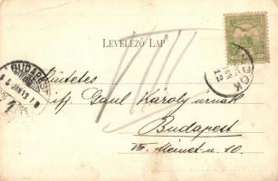 1905 Mándok, Gróf Forgách kastély az udvar felől nézve. Kiadja a Mándok és Vidéke községi hitelszöve...