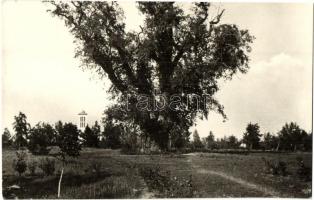 12 db régi és modern magyar városképes lap vegyesen / 12 pre-1945 and modern Hungarian town-view pos...