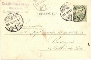 1905 Nagy Sándor, a "Népszerű gyorsírás" megalkotója, a "Magyar Gyorsírók Egyesületé&...