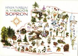 35 db MODERN térkép motívumos képeslap / 35 modern motive postcards; maps