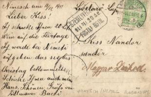 1911 Nemes, Nemsa, Nimesch (Medgyes); Zillmann bácsi kúriája, utcarészlet / villa, street. photo (EK...