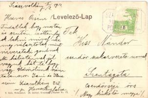 1913 Szászvolkány, Vulcan, Wolkendorf; Evangélikus népiskola, kiadja F. Roth / Volksschule / school ...