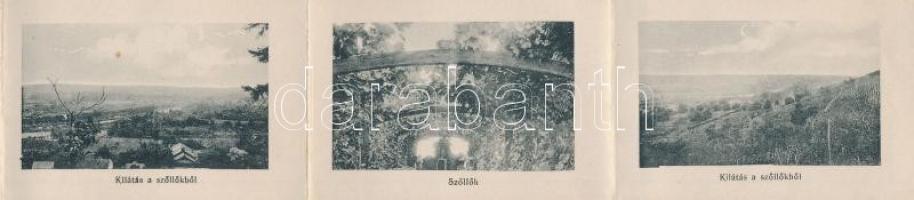 Nagyvárad, Oradea; Szent Vince Intézet, Homlokzat, Rimanóczy Kálmán-féle szőlők, leporello az építés...