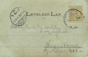 1902 Máramarossziget, Sighetu Marmatei; Erdélyi út, üzletek, Stein Dávid divat áru csarnoka, kiadja ...