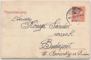 1908 Sepsiszentgyörgy, Sfantu Gheorghe; Látképek. Kihajtható képeslap, zsinagóga, vasútállomás, szöv...