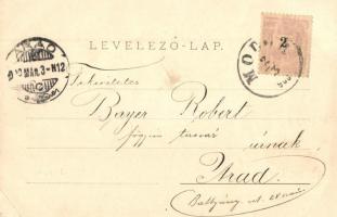 1900 Modor, Modra; Deák tér, Adalbert Blau, Gsellmann János üzlete, vendéglő, étterem, piaci árusok....