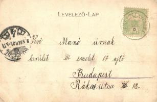 1905 Keresztényfalva, Neustadt-Burzenland, Cristian; Látkép / general view (EK)