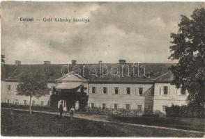 1918 Csicsó, Cicov; Gróf Kálnoky kastély / Schloss / Kastiel / castle (r)