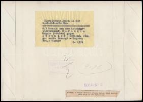 1936 Olimpiai játékok, a képen az aranyérmes Harangi Imre ökölvívó, feliratozott német sajtófotó, 24...