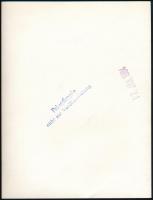 Marilyn Monroe (1926-1962) színésznő, privát másolat eredeti negatívról 1984-ből, pecséttel, 21,5×16...